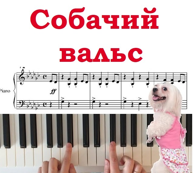 Собачий вальс схема