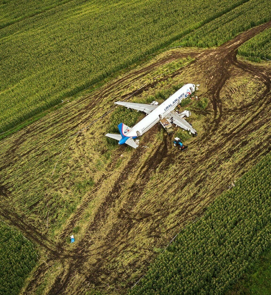 Пригород самолет. Аэробус а320 на кукурузном поле. Самолёт сел на кукурузное поле в Жуковском. А320 посадка на кукурузное поле. Посадка на кукурузное поле а 321.