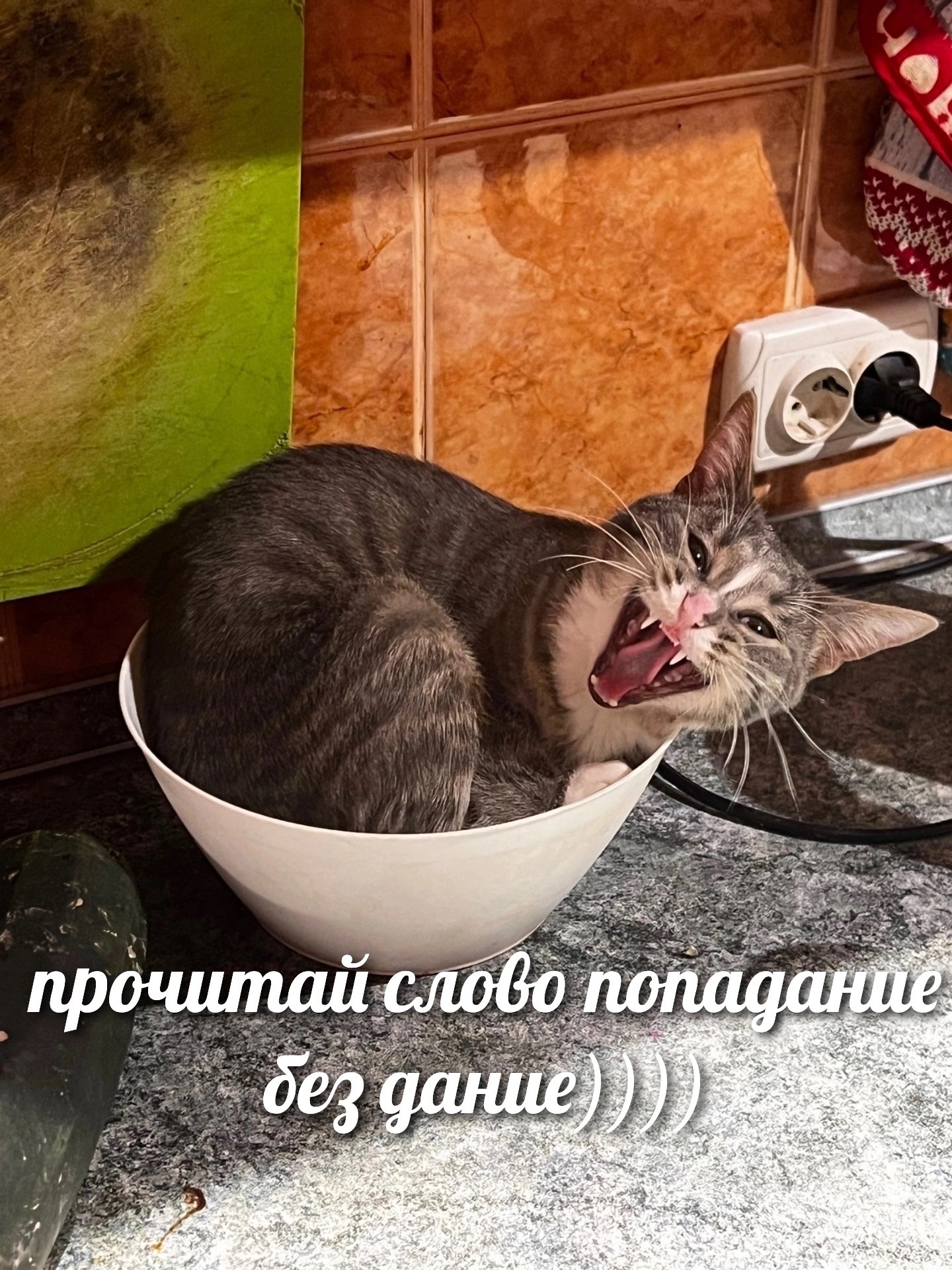 Вот умора картинки
