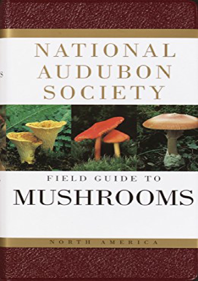 EPUB DOWNLOAD National Audubon Society Field Guide To North American ...