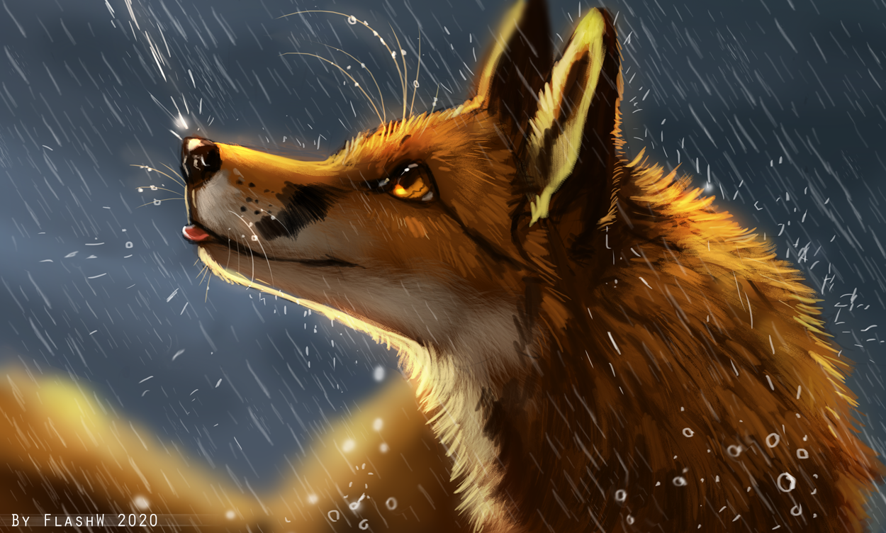 Под fox. FLASHW лиса. FLASHW лиса Art. Лиса и дождь. Лисица под дождём.