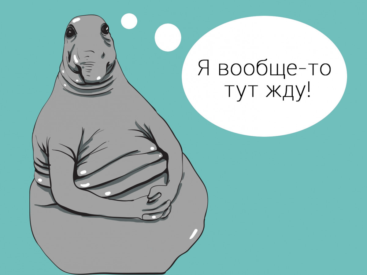 Картинка вообще то
