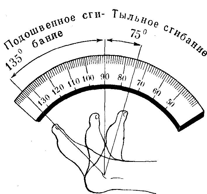 Градусы положения. Объем движений в голеностопном суставе в норме. Объем движений в голеностопном суставе в градусах. Амплитуда движений в голеностопном суставе. Углы движения в голеностопном суставе.