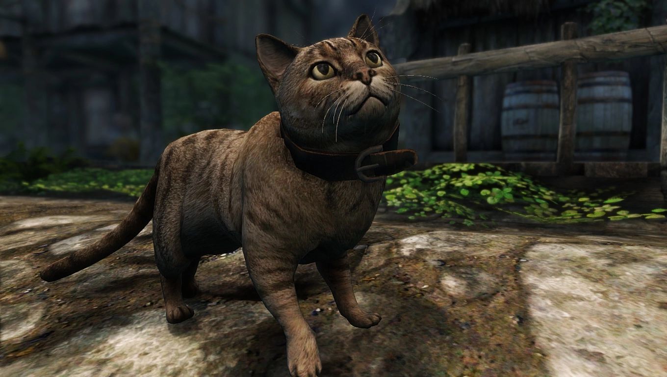 Cats mod