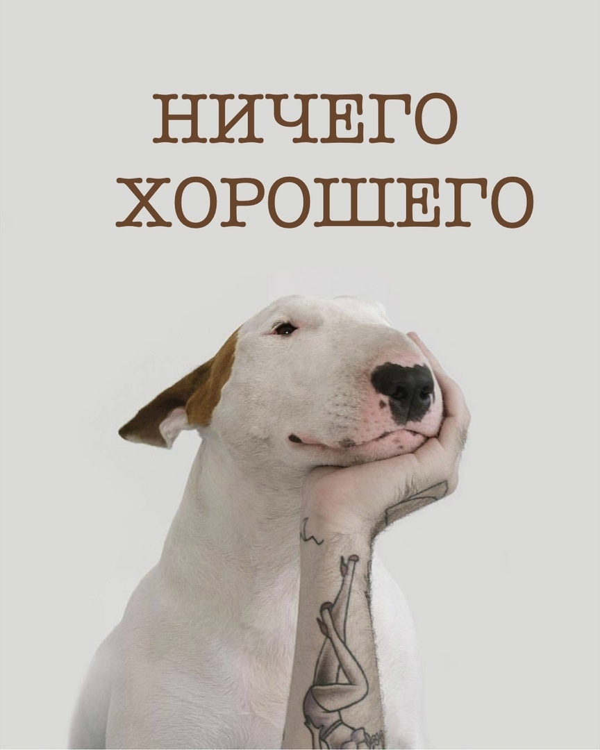 НИЧЕГО ХОРОШЕГО