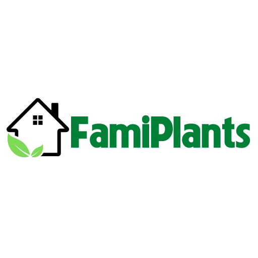 Famiplants Monstera Blog