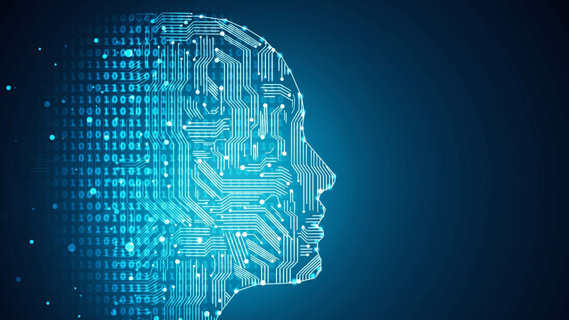 Информационные технологии - ваше IT-Образование