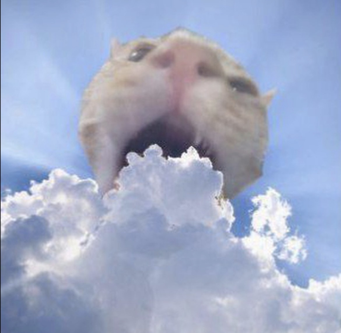 Pisisri