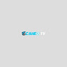 Thể Thao 247 Web