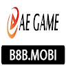 B8B Mobi