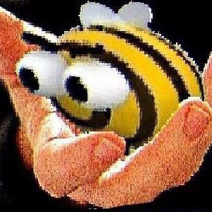 Кипся