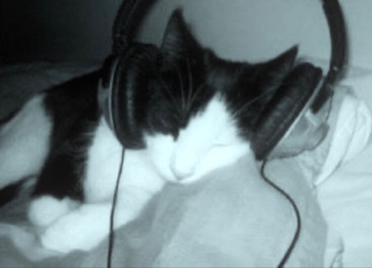 Eiser