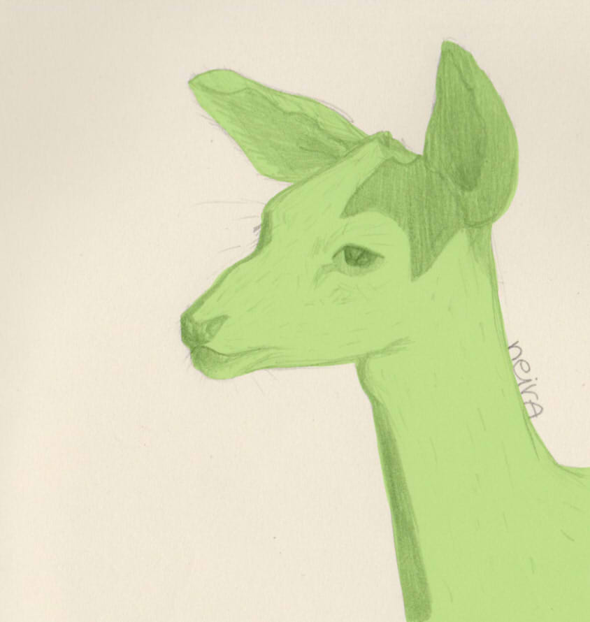 NEIRA arts