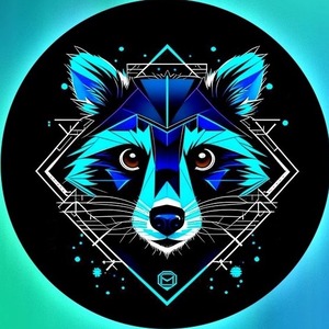 dark_raccon