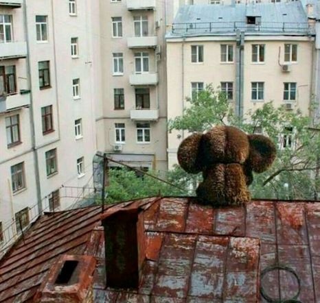 Анна Геннадьевна