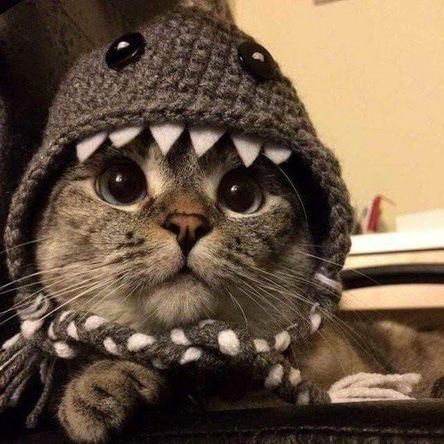 vviluwu
