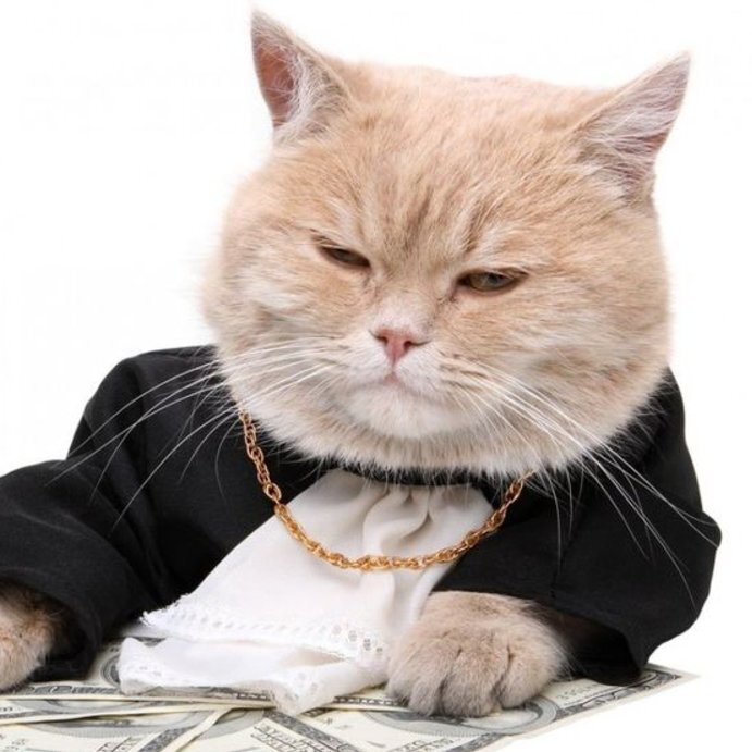 MoneyLover