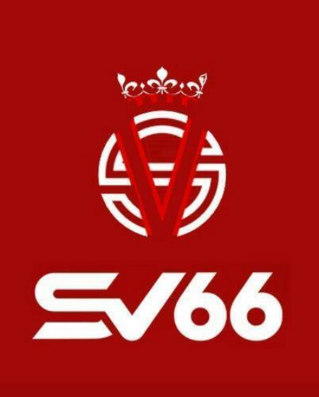 SV66 LTD