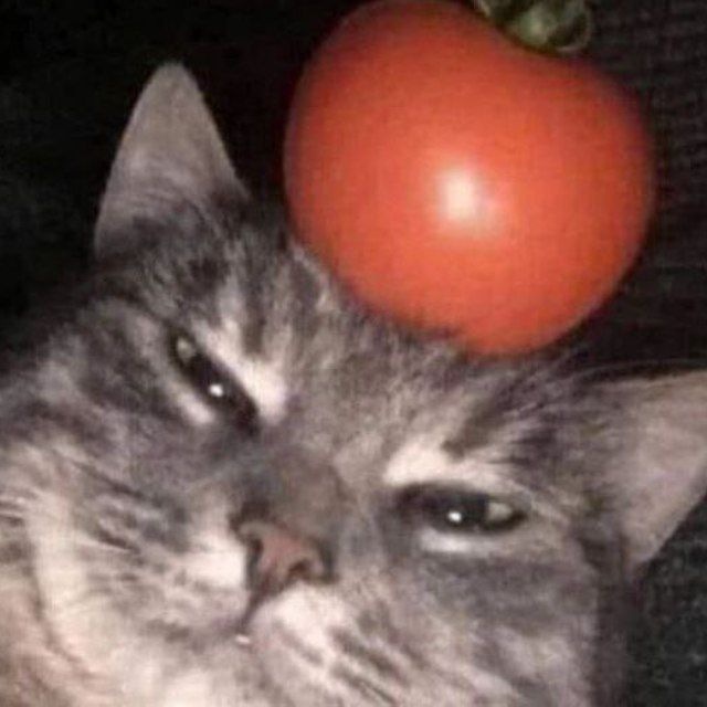 ОГО, КТО?