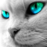 AHAPX13@mail.ru