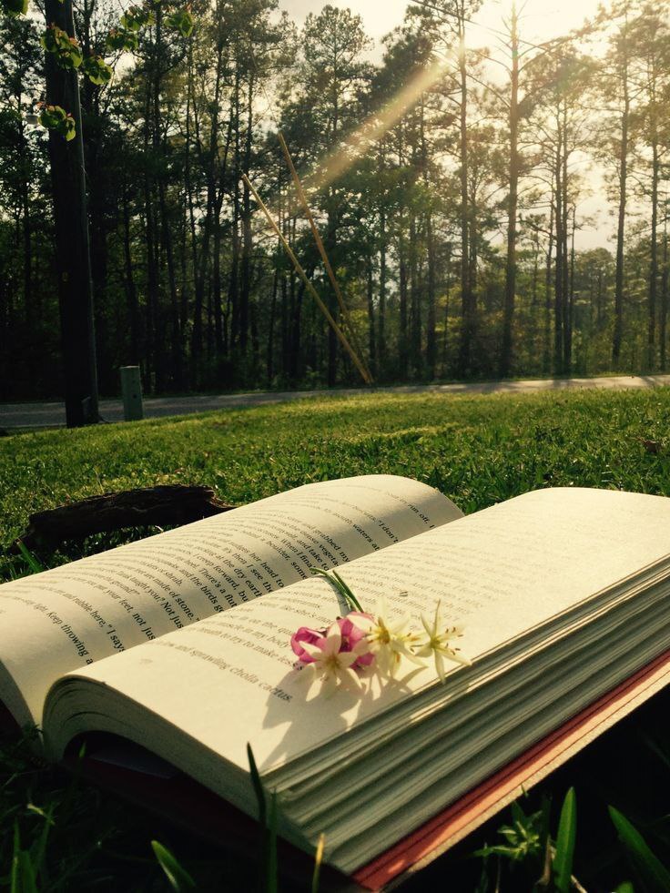 Музыкальная книга
