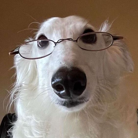 птина