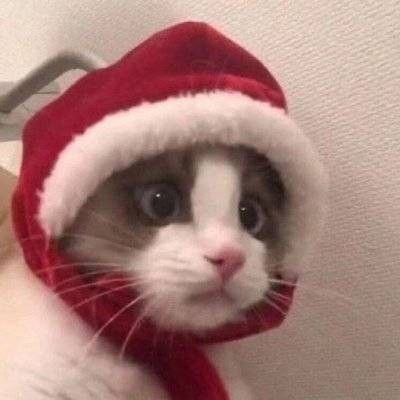 murrrfsed