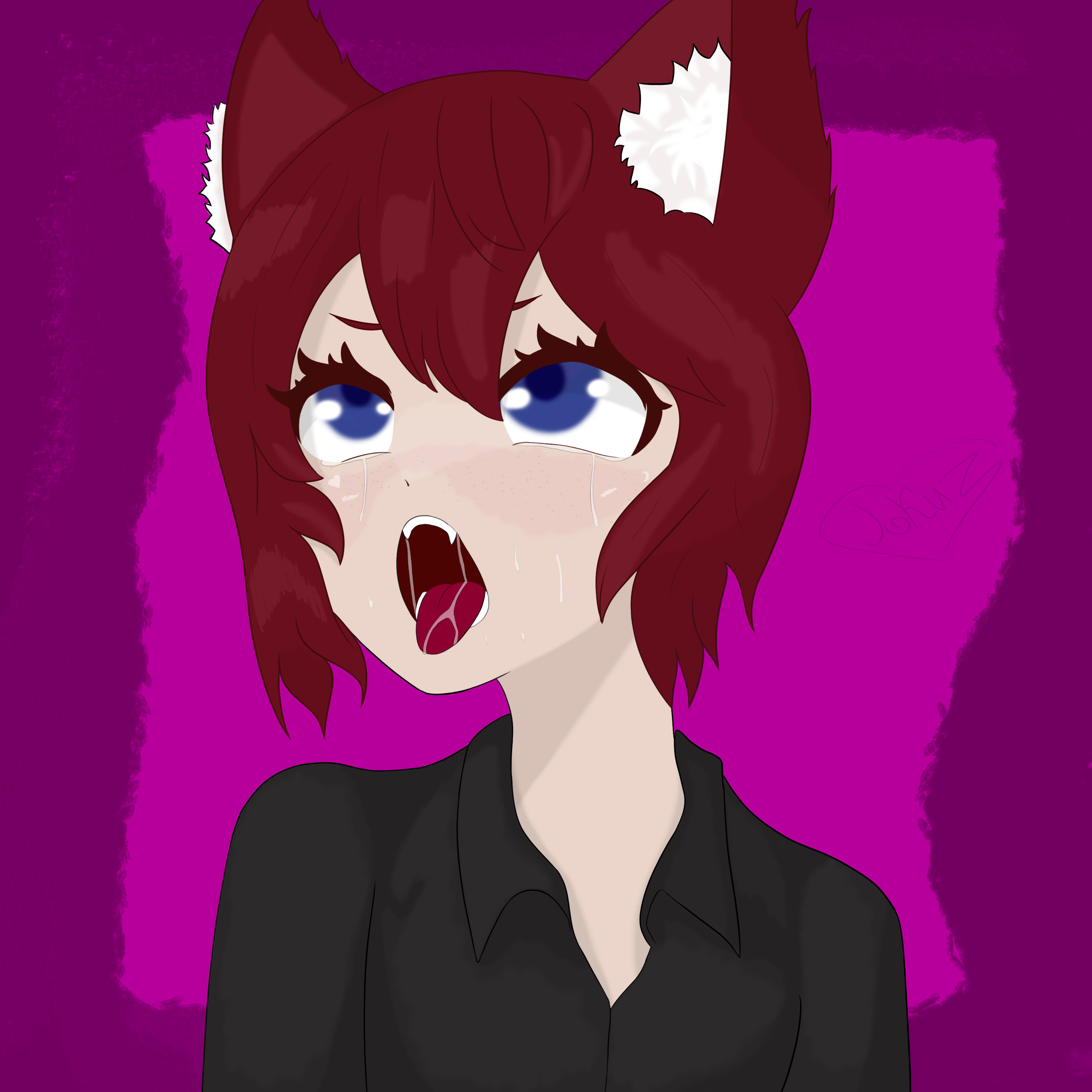 Stirka_Meow