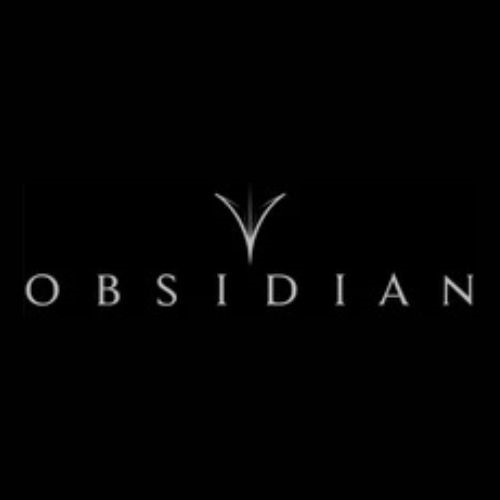 Obsidian Needles