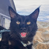 Onyx