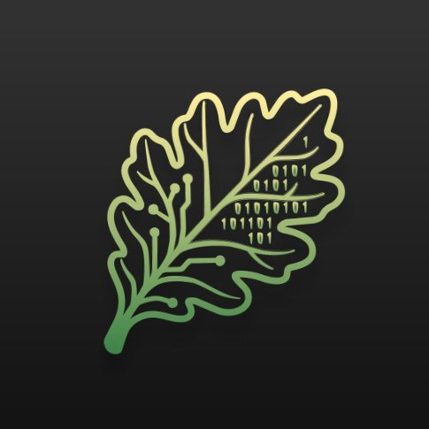 SOLIDLEAF TEAM