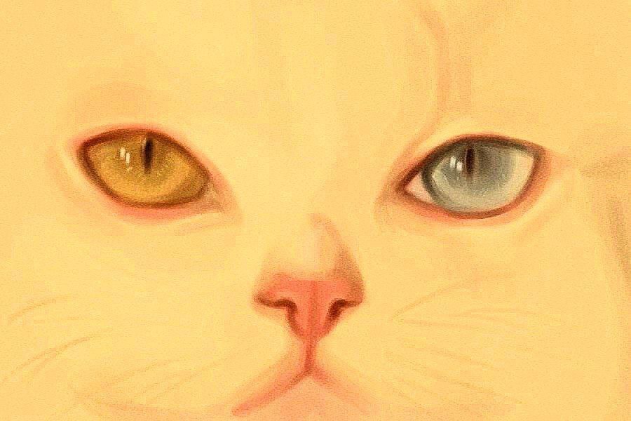 selь