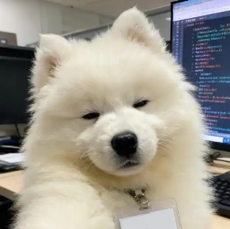 Mishutkazz