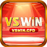 vswin cfd