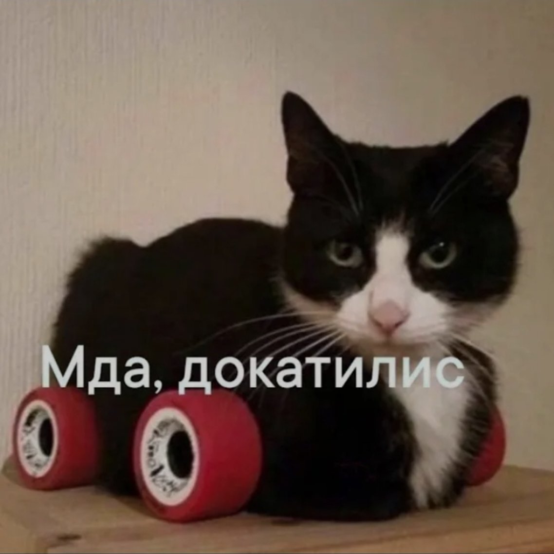 Mr_Fortuna