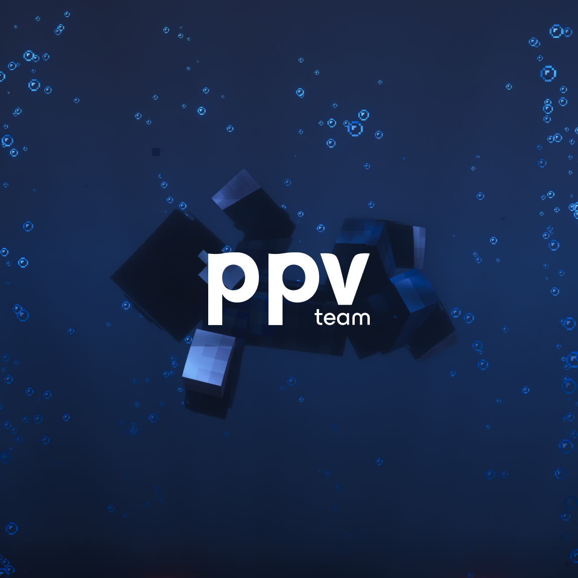 PPVteam