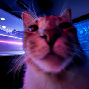 Cenobitplay