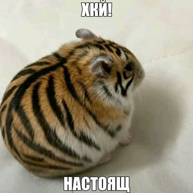 ХКЙ!