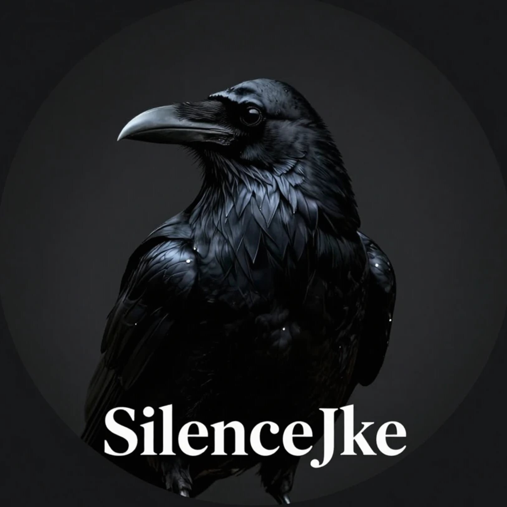 SilenceJke