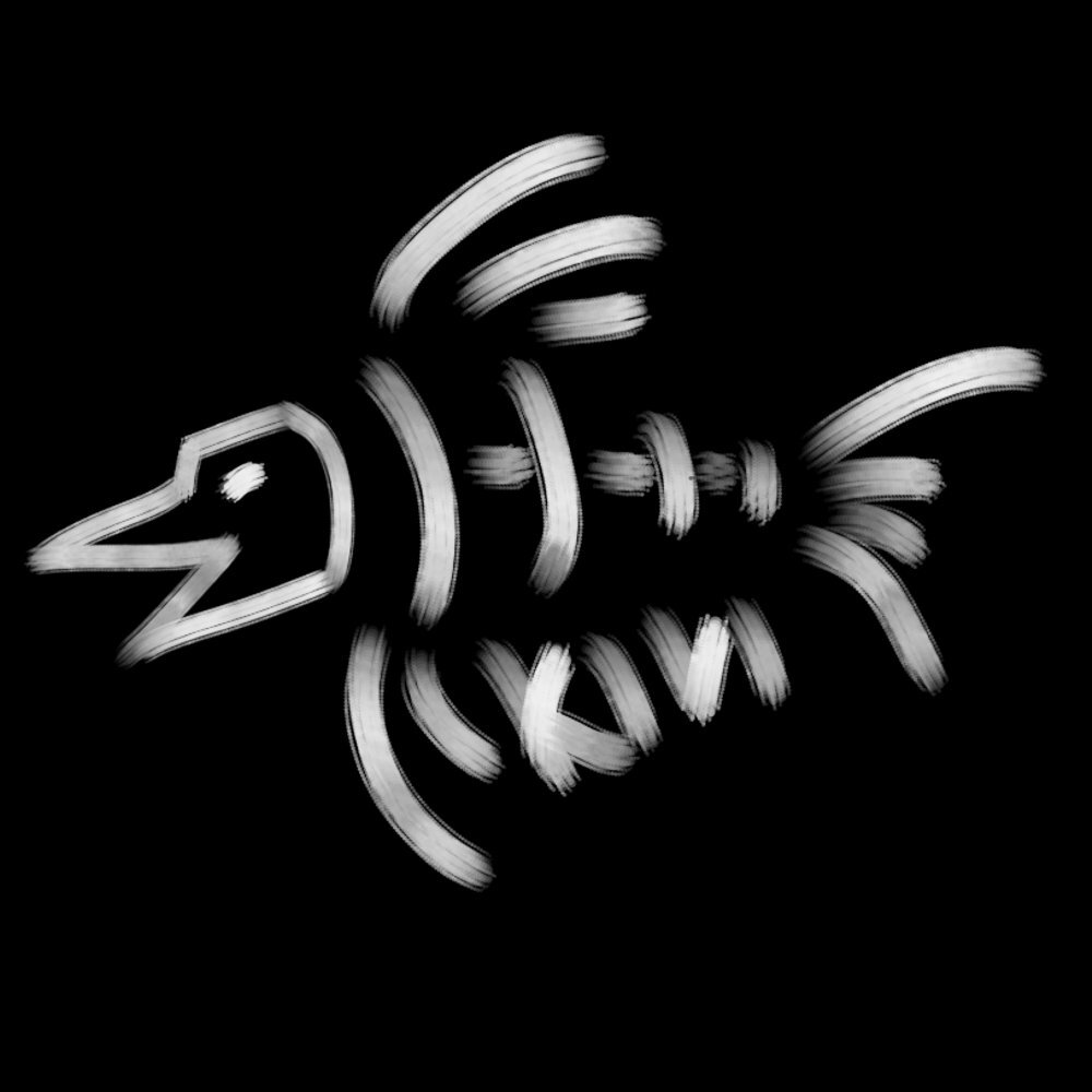 Kivi