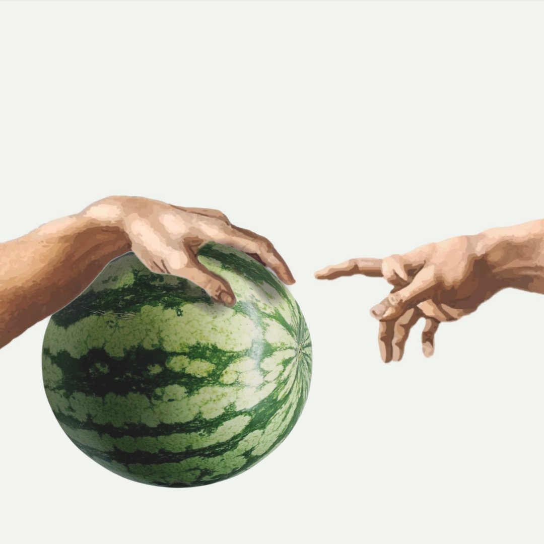 мс арбуз