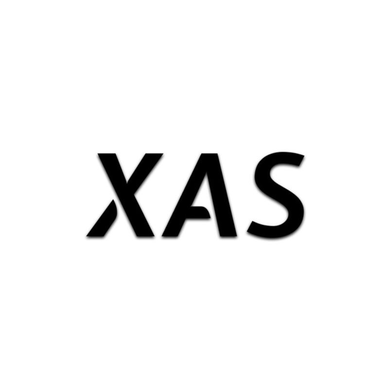 XAS|BEAMNG