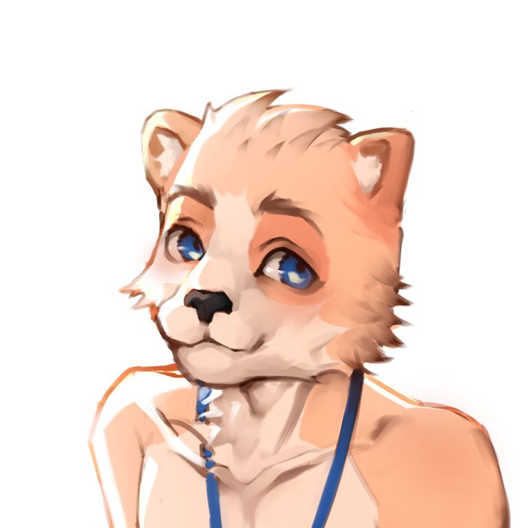 zero koda