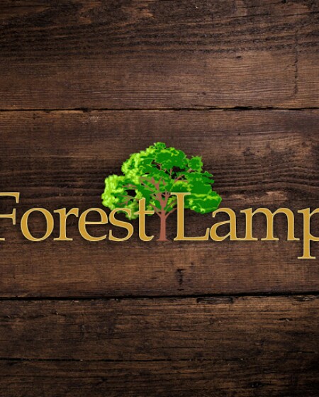 Самоделки ForestLamp