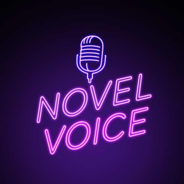 NOVEL VOICE