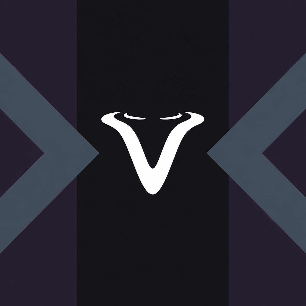 VDZ Workshop