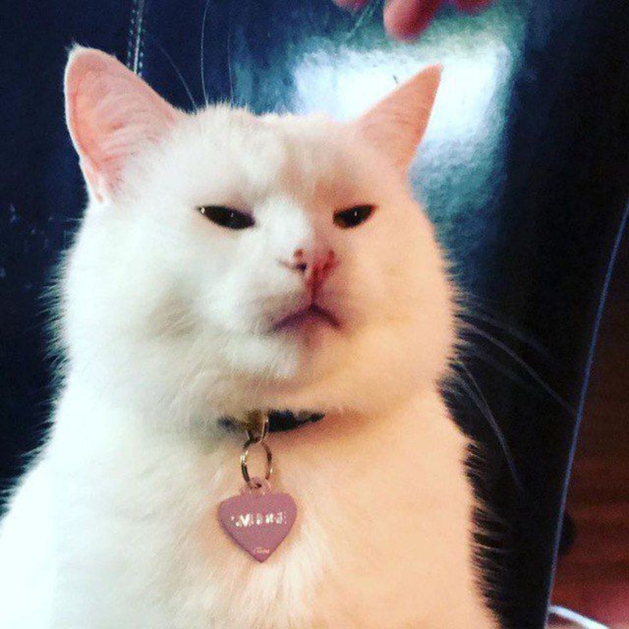 CUMорка