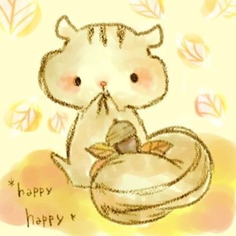 Mippii_miao