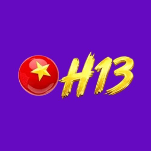 H13