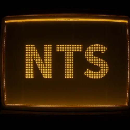 Native Terminal System